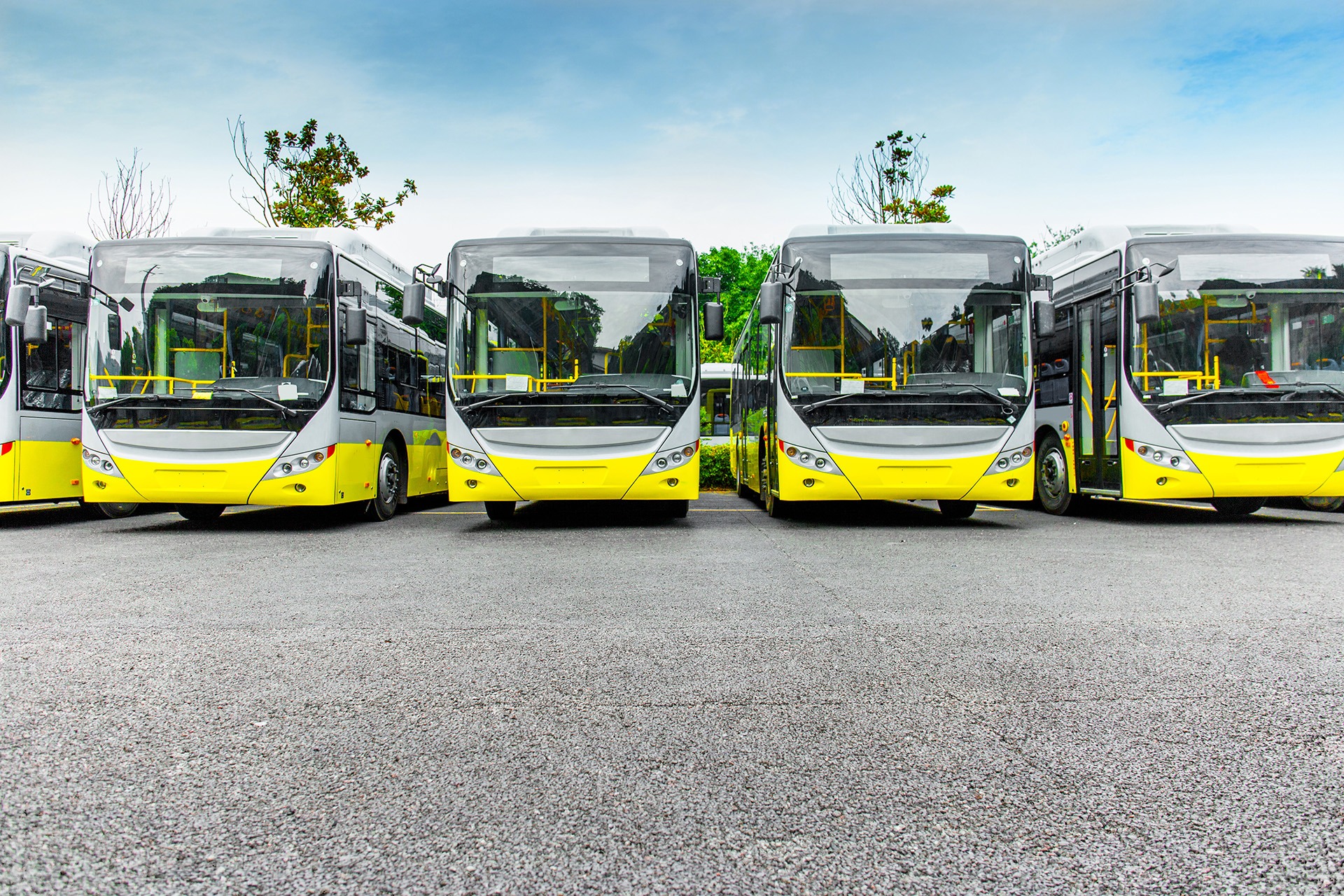 Fleet of Buses