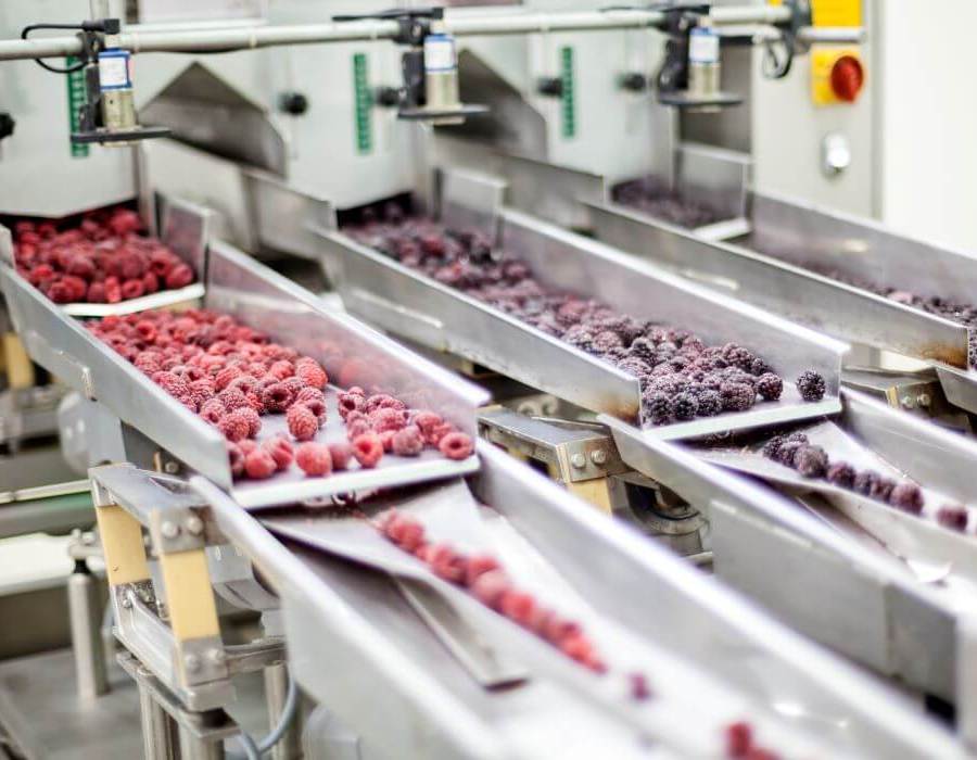 berry packaging plant